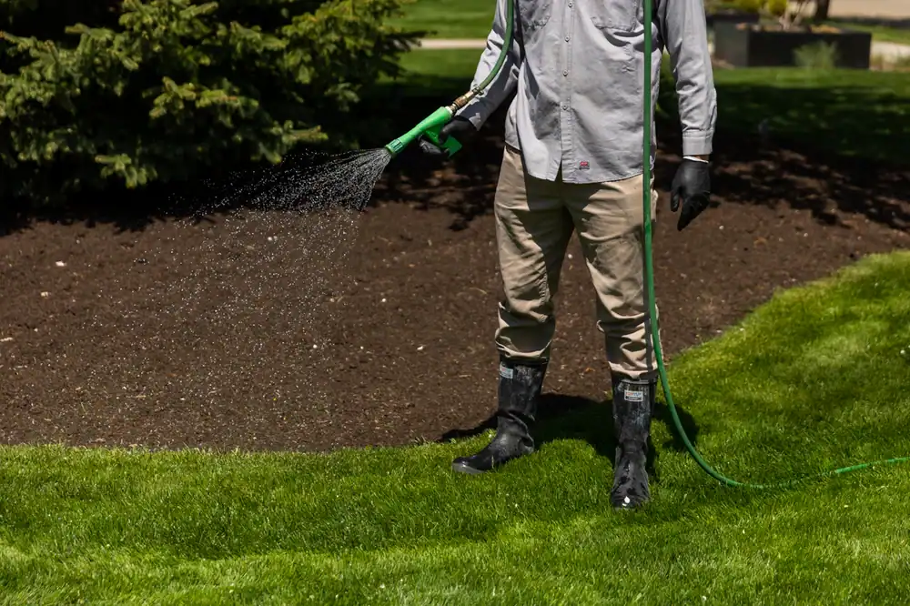 Technician spraying a landscape bed with liquid weed control and fertilizer near a house in North Mississippi.