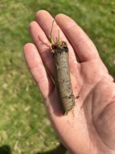Hand holding soil plug after lawn aeration service in North Mississippi.