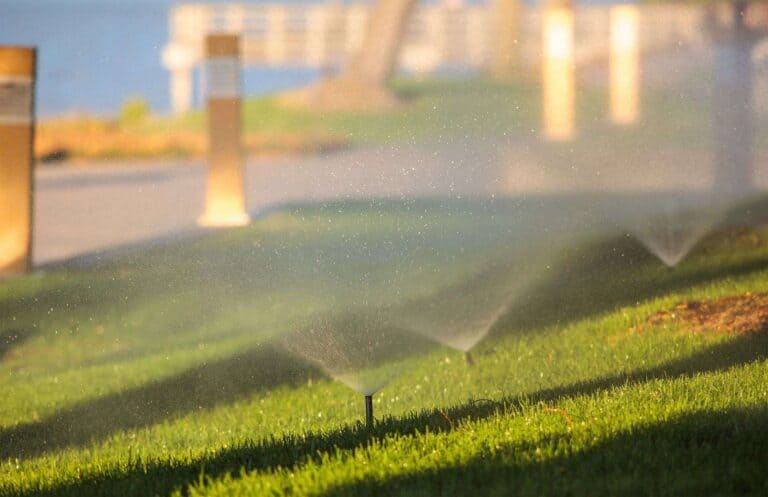 Sprinkler irrigation soaking into aeration holes on a lawn in North Mississippi